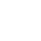 Twitter Icon