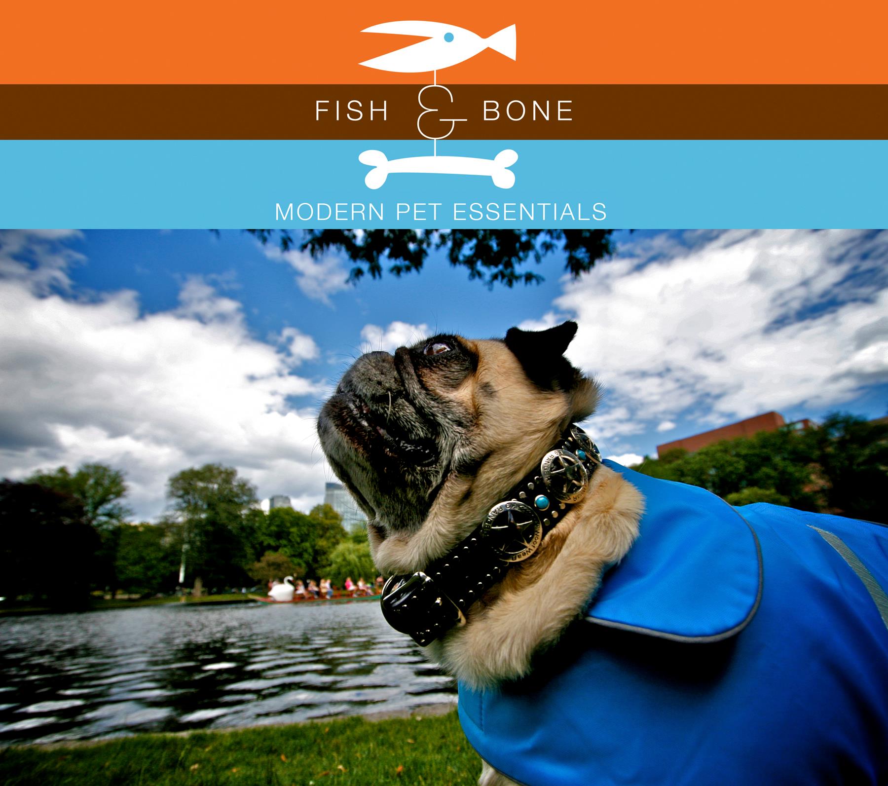 Gone to the Dogs: Local Pet Supply Store Fish & Bone in Boston