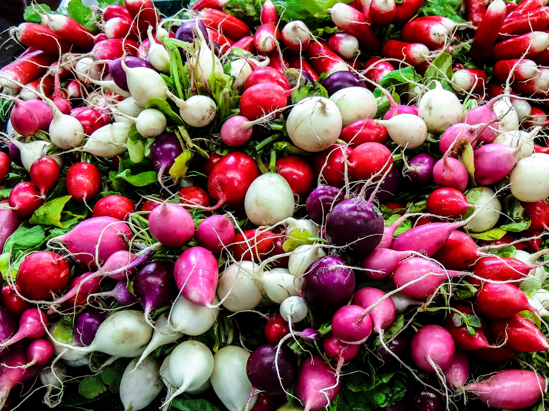 Stock Up on Seasonal Produce at Copley Square Farmers Market