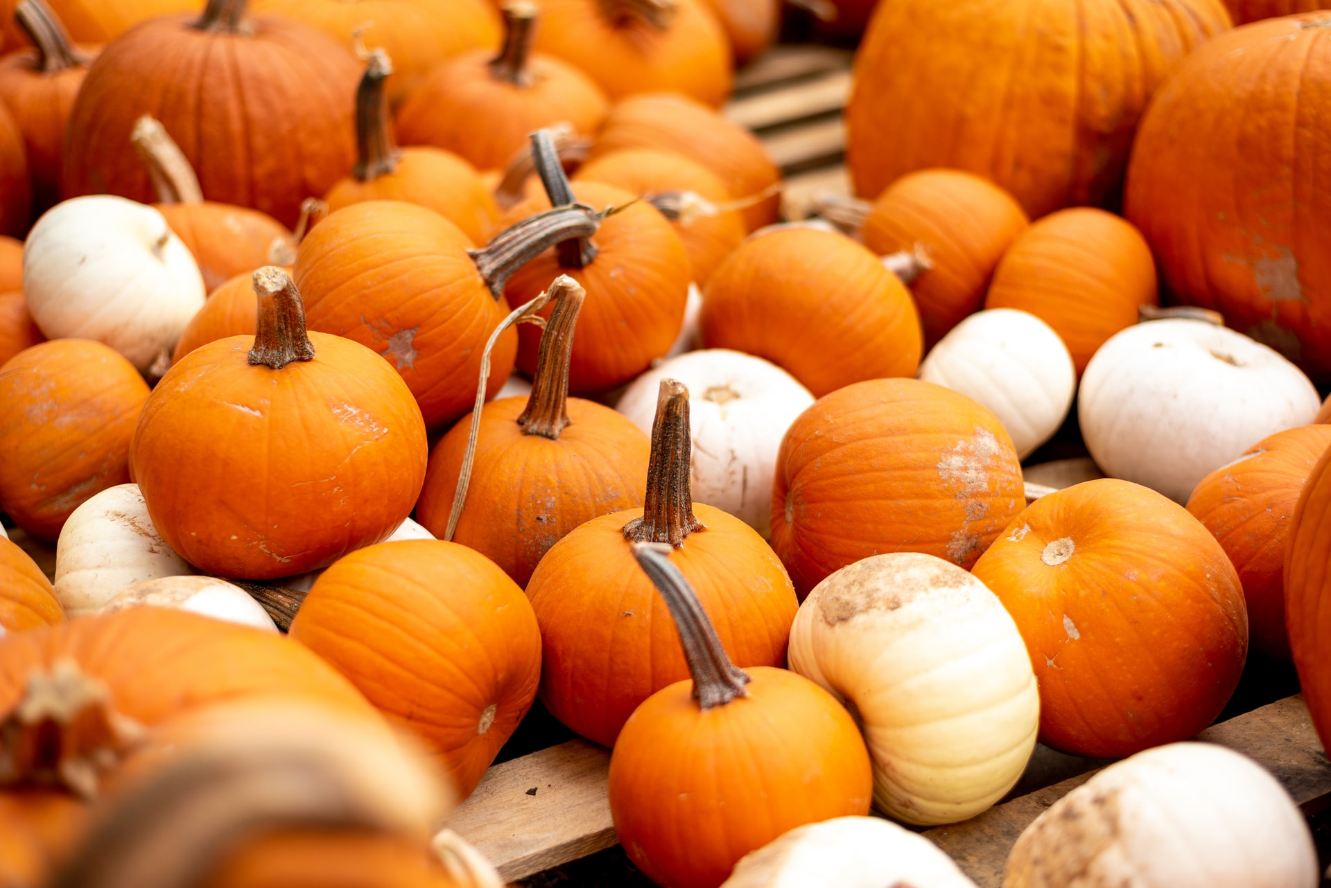 Clever No-Carve Ways to Decorate a Pumpkin